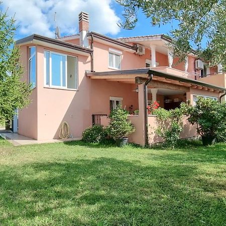 Stelia Apartamento Novigrad Istria Exterior foto